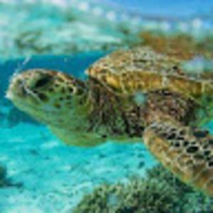 Meet your Posher, Stefani